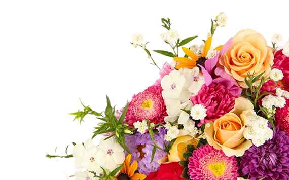 A vibrant mixed bouquet of colorful flowers on a dark background, designed like a header or decorative corner to make the colors stand out.